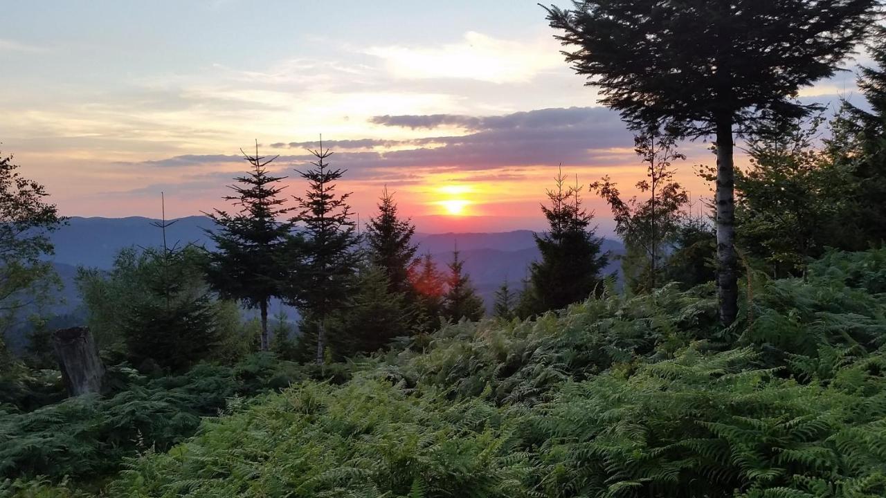 Апартаменты Am Doettelbach Бад-Петерсталь-Грисбах Экстерьер фото