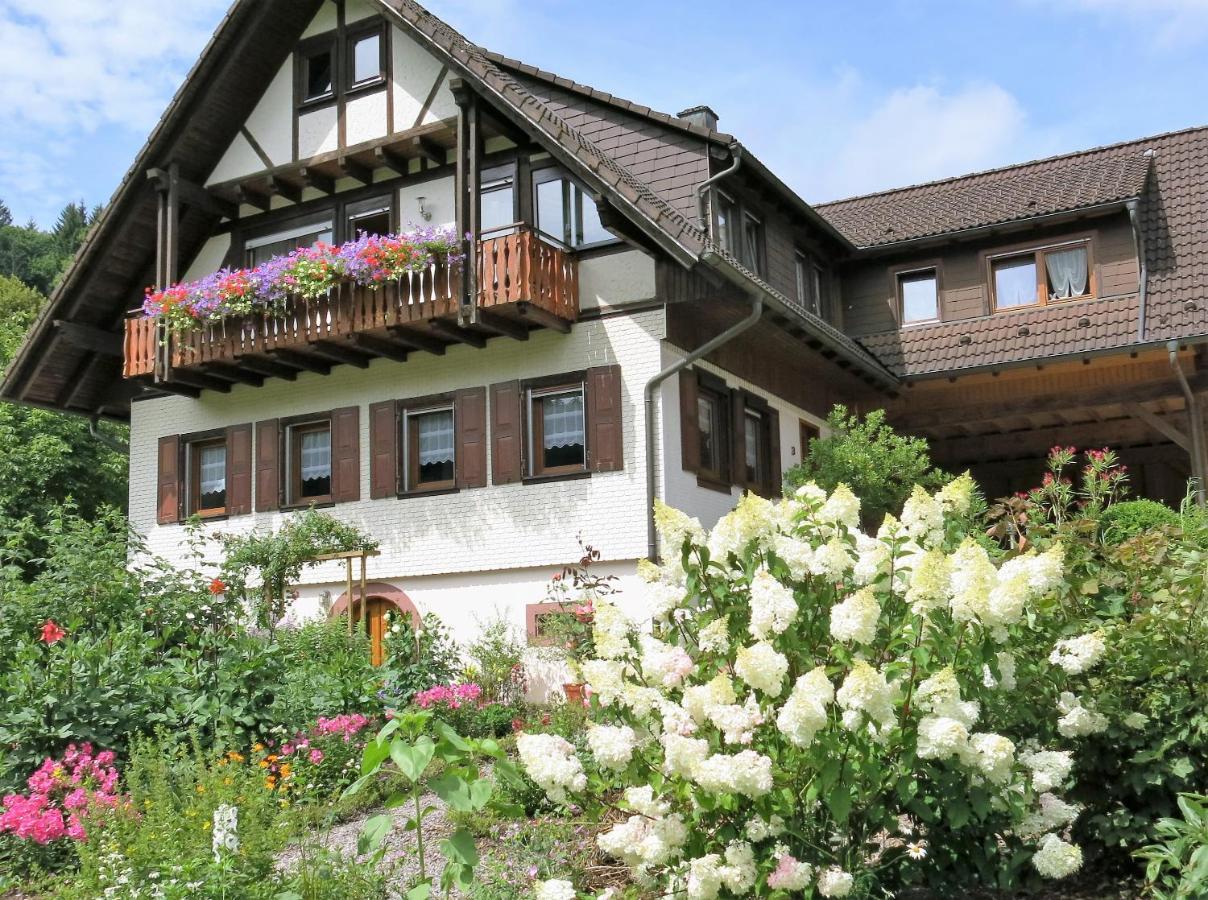 Апартаменты Am Doettelbach Бад-Петерсталь-Грисбах Экстерьер фото