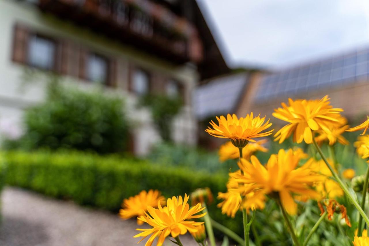 Апартаменты Am Doettelbach Бад-Петерсталь-Грисбах Экстерьер фото
