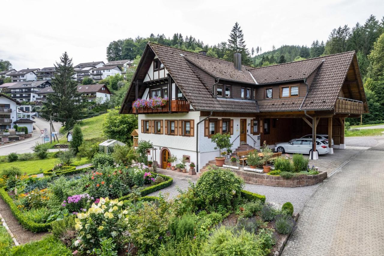 Апартаменты Am Doettelbach Бад-Петерсталь-Грисбах Экстерьер фото