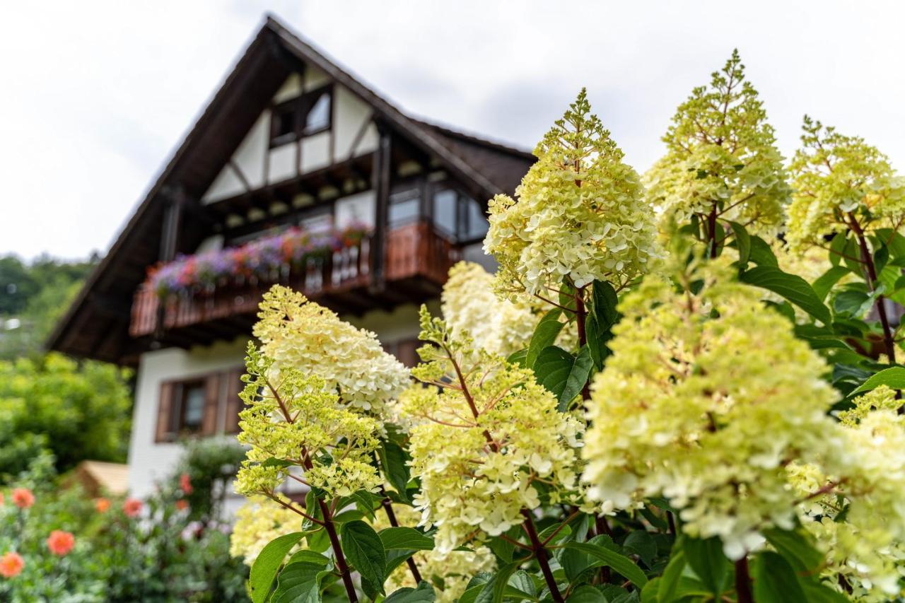 Апартаменты Am Doettelbach Бад-Петерсталь-Грисбах Экстерьер фото
